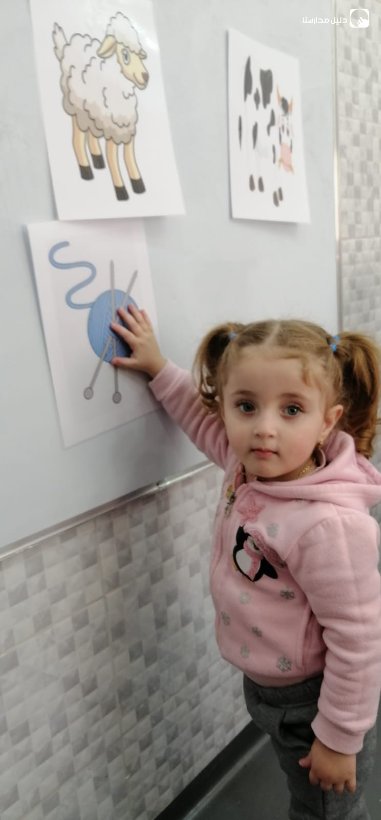 حصانة نادي السندباد slide 4