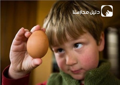 حضانة التباشير البيضاء slide 11