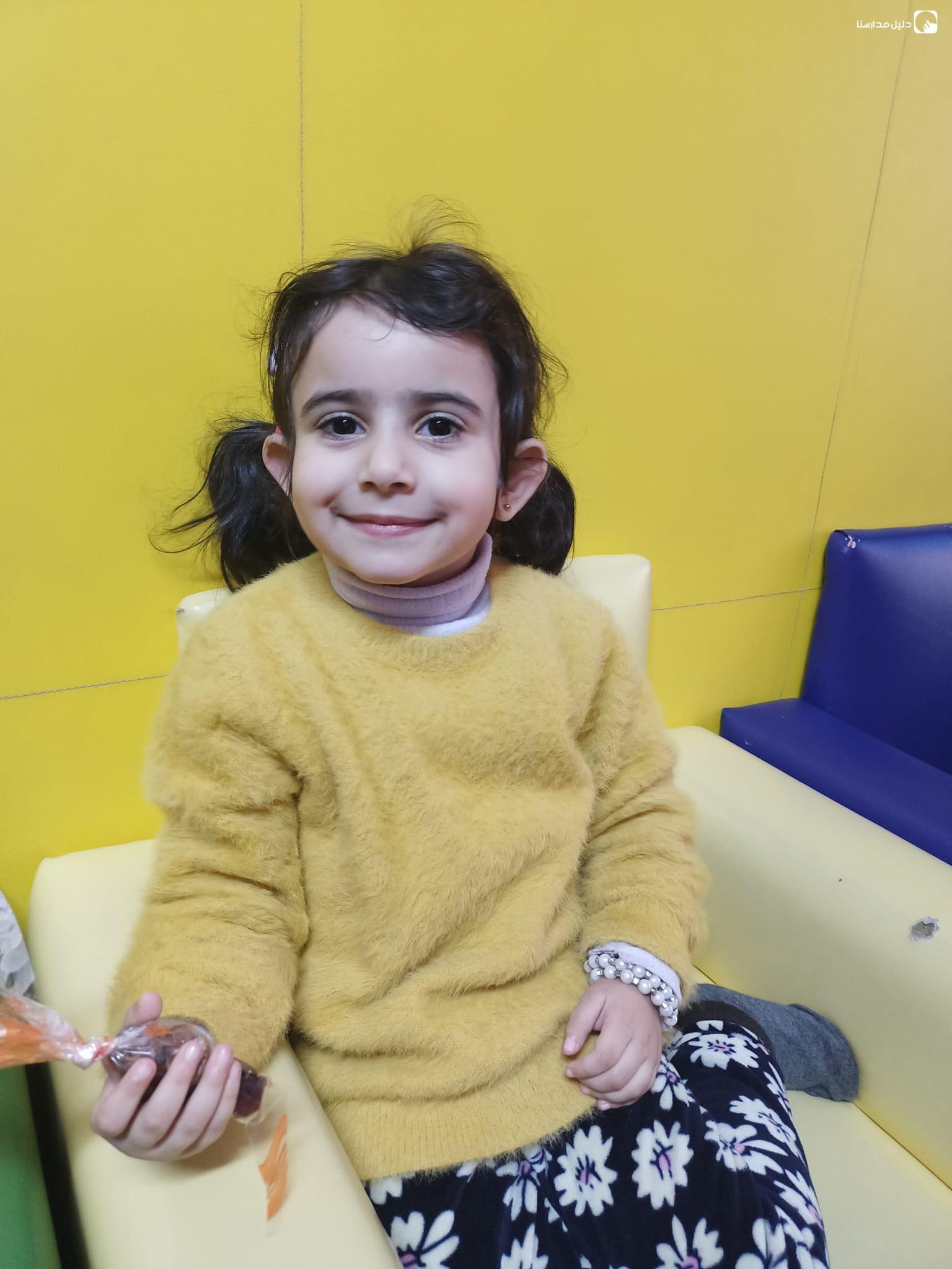 حضانة حبات التوت slide 2