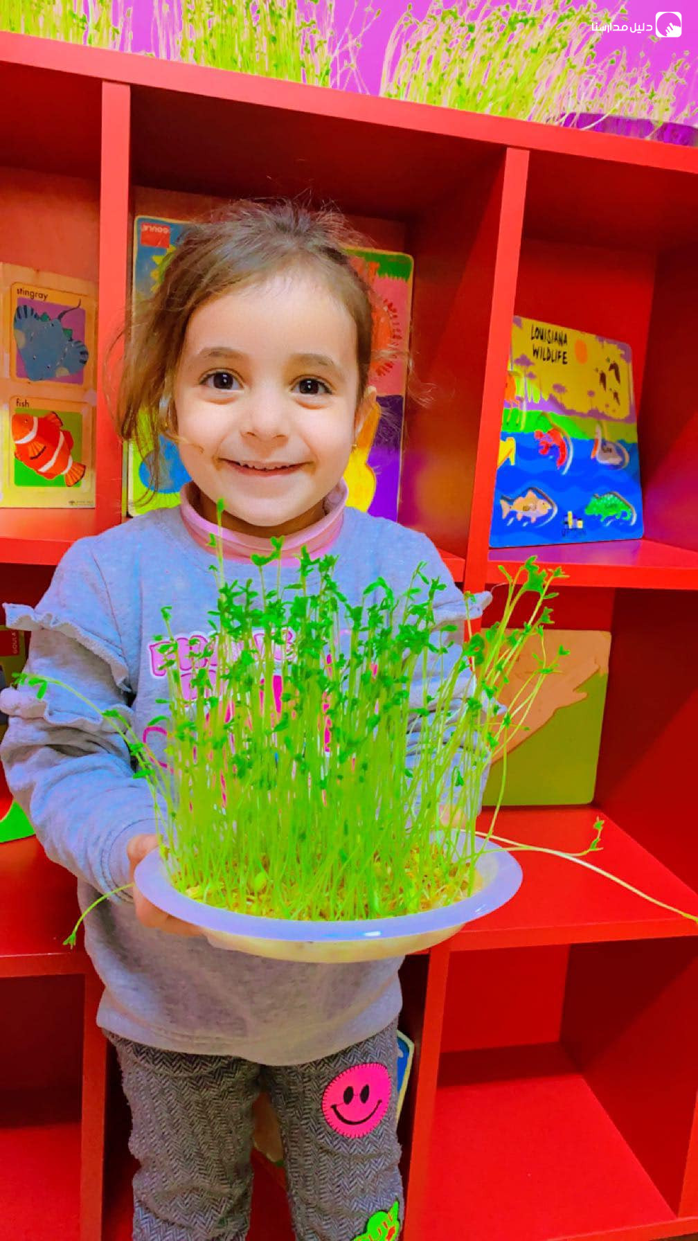 حضانة طوق الياسمين slide 10