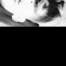 ramze 1234