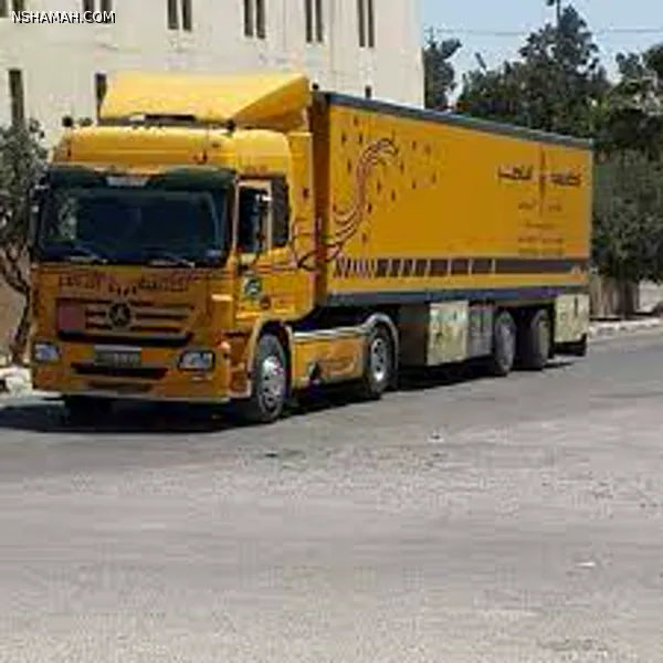 الفئتين الخامسة والسادسة