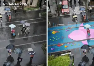 أسماك وسلاحف في شوارع العاصمة الكورية