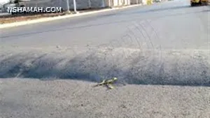 الأضرار الناتجة عن تخطي المطبات بسرعة عالية على أجزاء السيارة