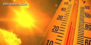 أشياء تساعدك على تبريد مقصورة السيارة في الصيف