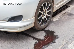 تعرف على أنواع السوائل والزيوت التي قد تتسرب من سيارتك تعرف على أنواع السوائل والزيوت التي قد تتسرب من سيارتك