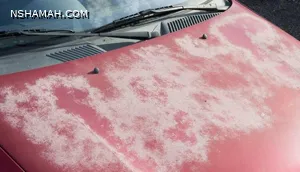 نصائح هامة لحماية طلاء السيارة من حرارة الشمس في الصيف